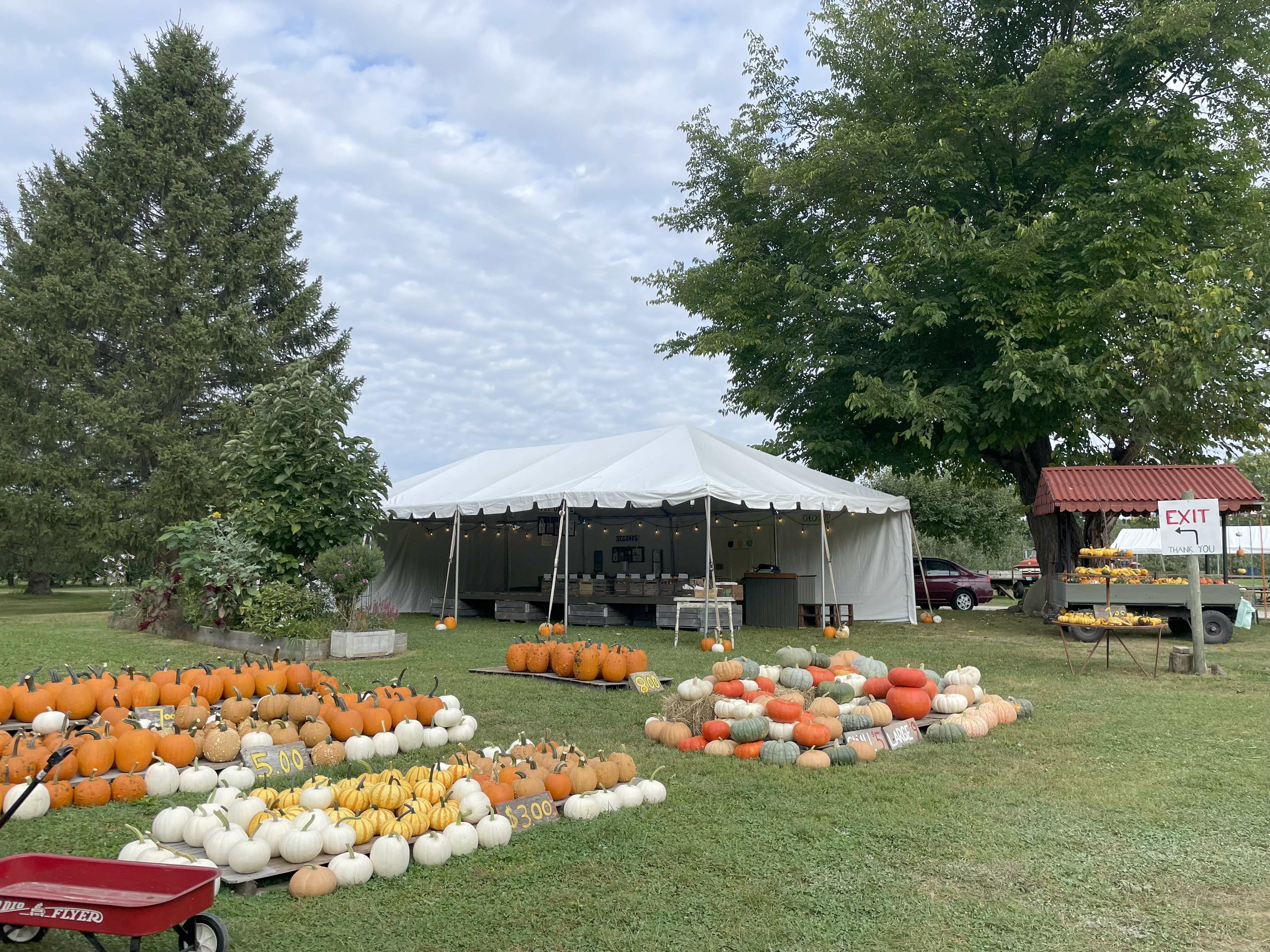 Hafs Road Orchard sells their delicious apples from this big white tent!